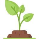 Agricultural Farming
